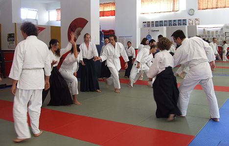 Aikido seminar at Chania Dojo on December 13-14, 2008