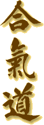 Aikido Kanji in Japanese writing